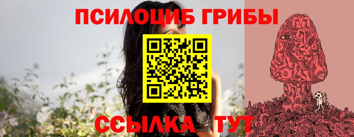 Озёрск  Галлюциногенные грибы Psilocybine cubensis  Галлюциногенные грибы прущие грибы  Вход с VPN 